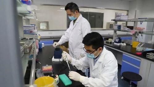 科技抗疫新突破 沪企融合通信技术，核酸检测时间大幅缩短至1小时