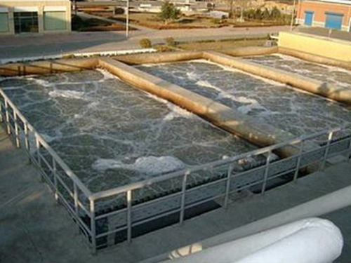 生物膜法 新型生物处理技术的创新引擎