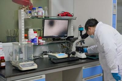 以生物造万物 合成生物产业化提速，开启生物技术研发新纪元