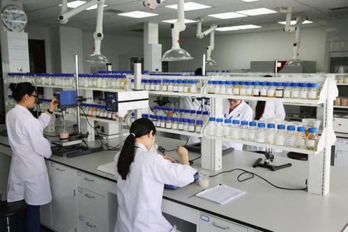 康婷慧科技 以通信技术研发为引擎，锻造高质量产品新篇章