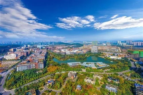 中科招商领衔久久益之星等3机构参与盛齐安定增，打造中国肿瘤治疗通信技术开发独角兽