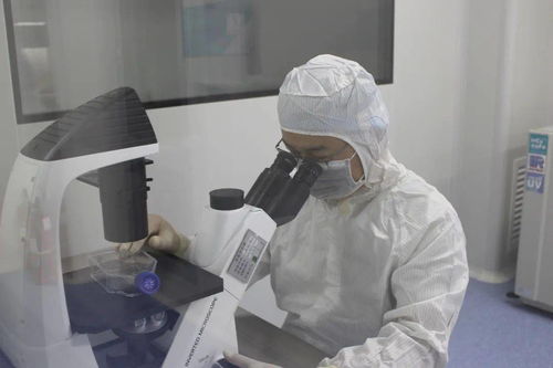 诺未科技 生命科学研究再创新，生物技术研发新突破